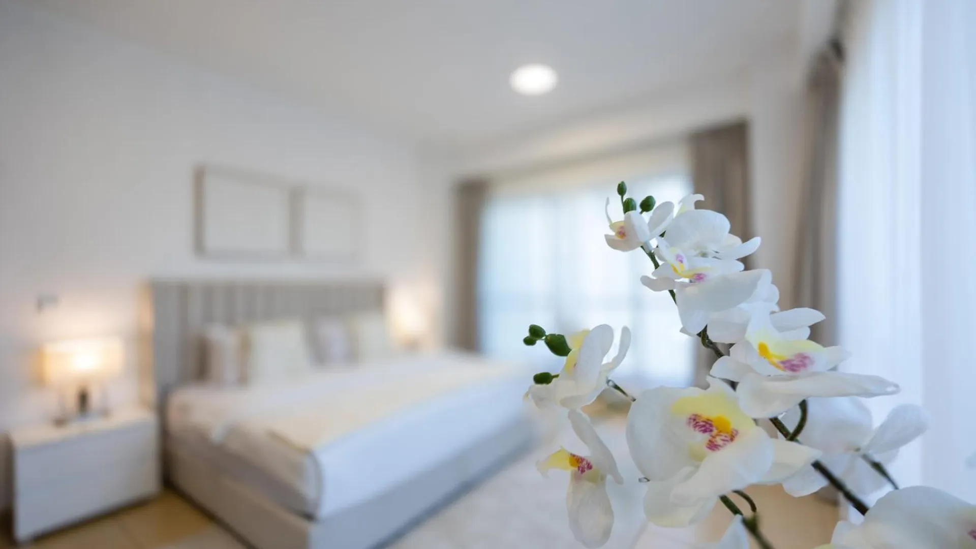 Delightful Apartment Near The Jbr Dubai